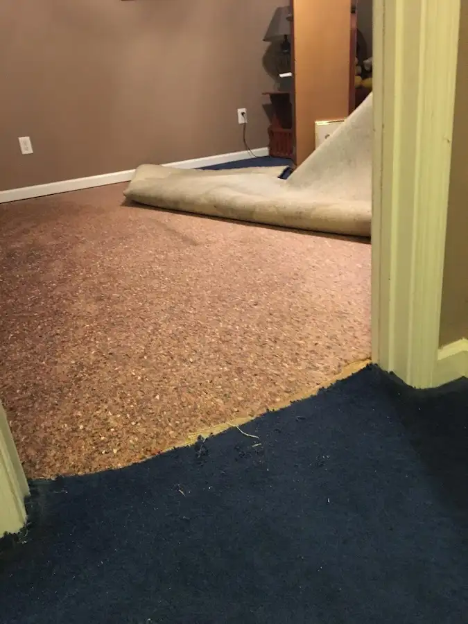 Carpet pad removal revealing water damage during Drying & Dehumidification in South Holland