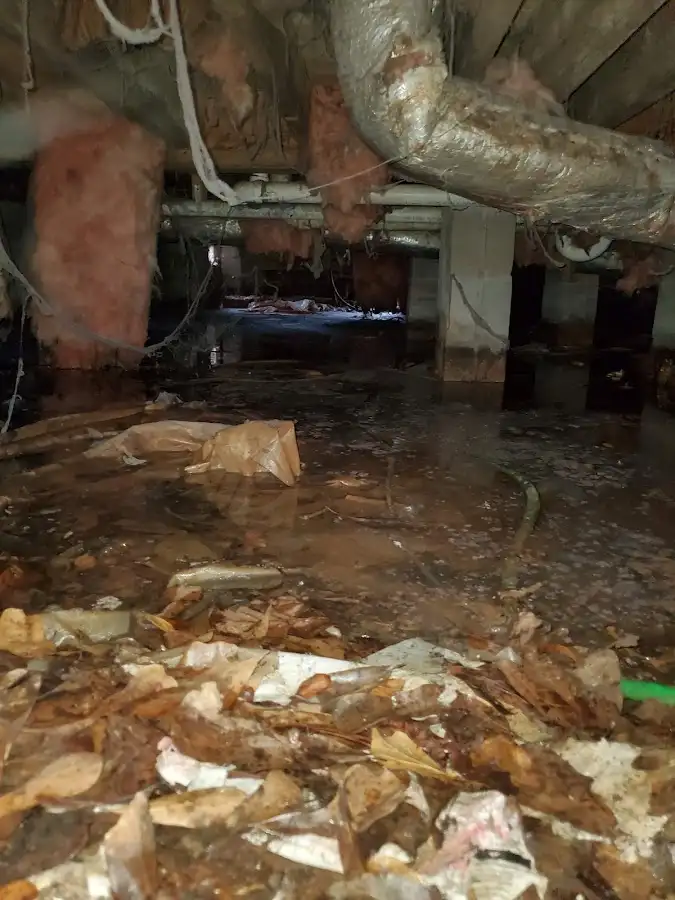 Crawl space flood assessment for Commercial Water Damage Restoration in South Holland