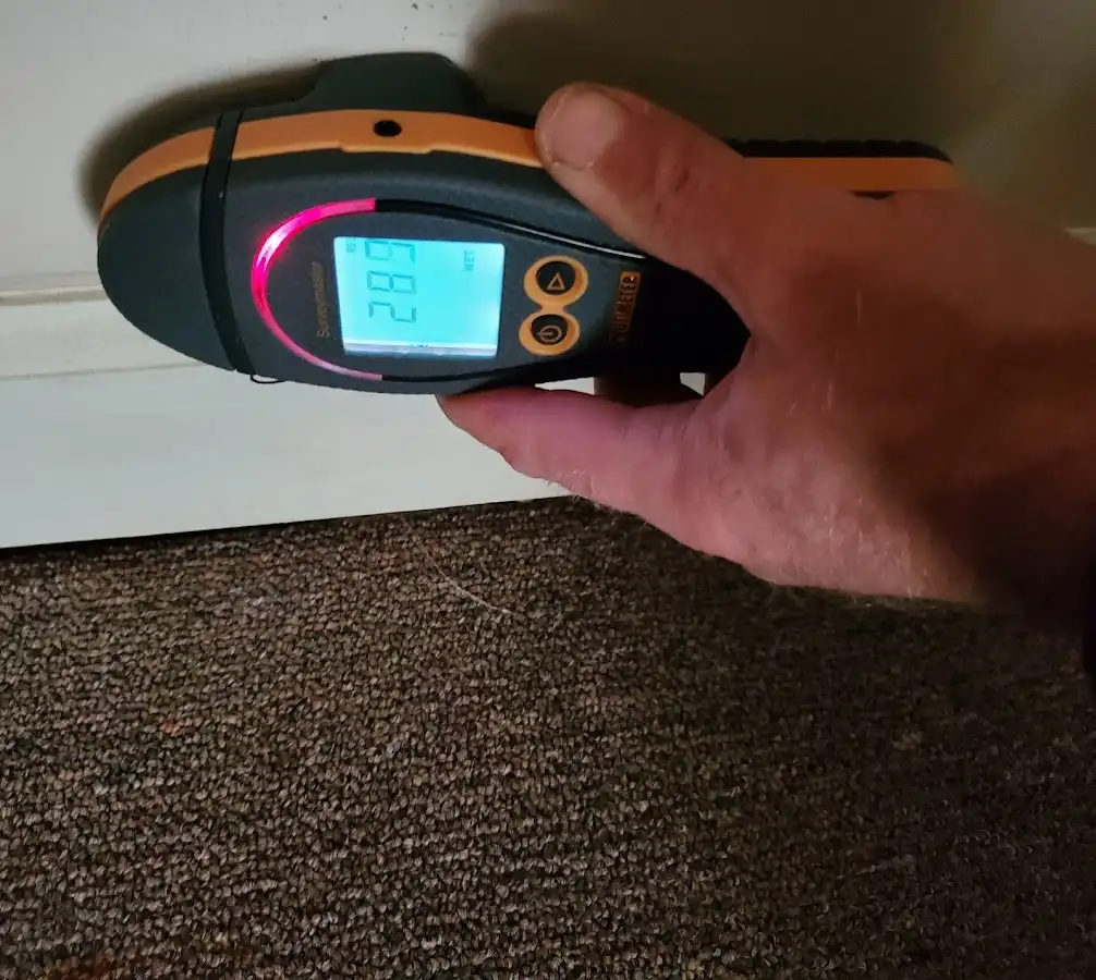 Moisture detection at baseboard during Sewage Cleanup & Sanitation in South Holland